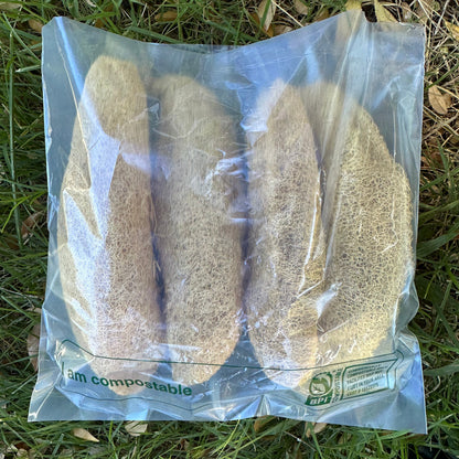 Garden Grown Loofa Sponge