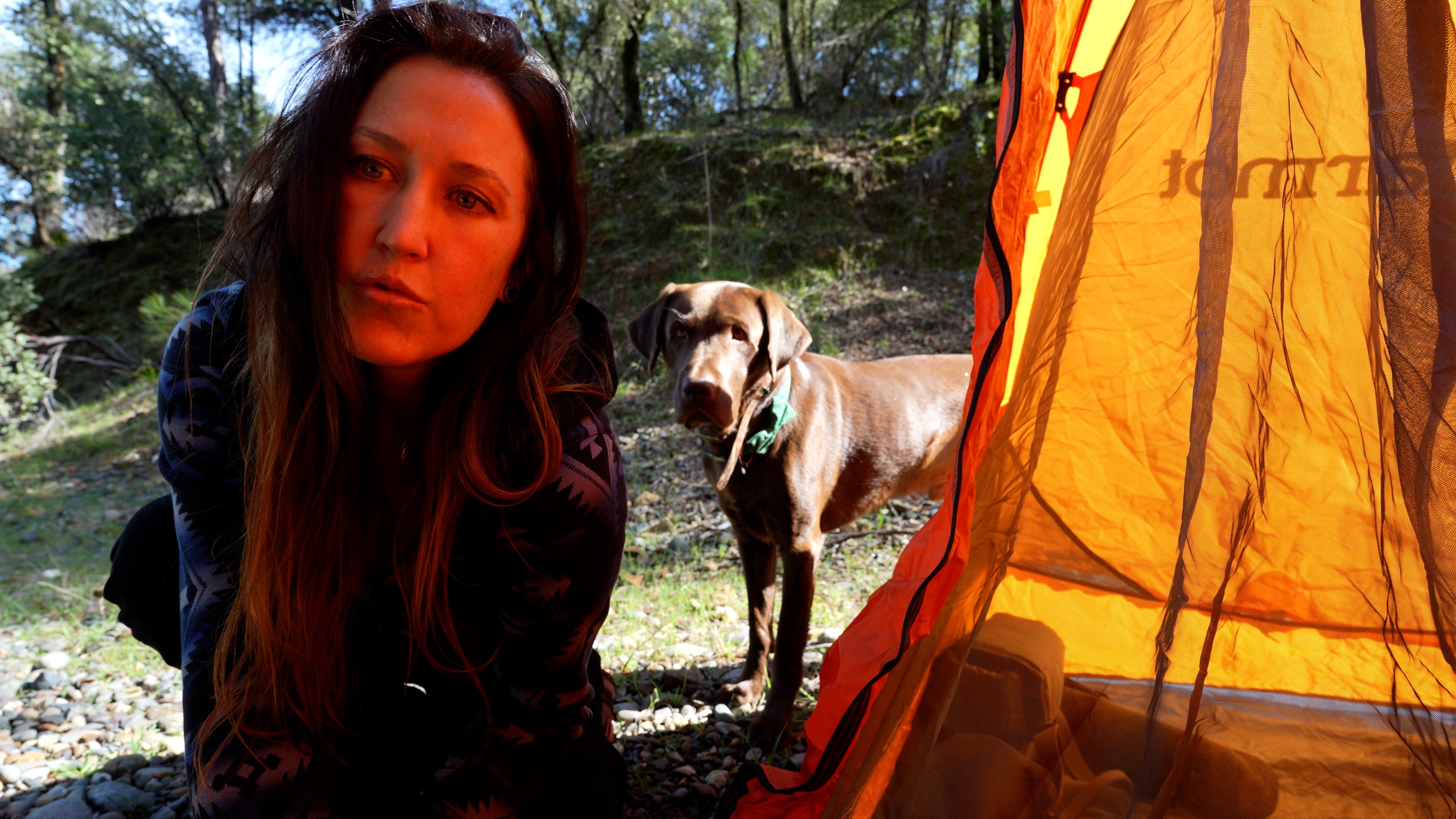 A woman and her dog are pictured outdoors next to an orange Tentree tent. The woman is in the foreground on the left, and the dog stands behind her.